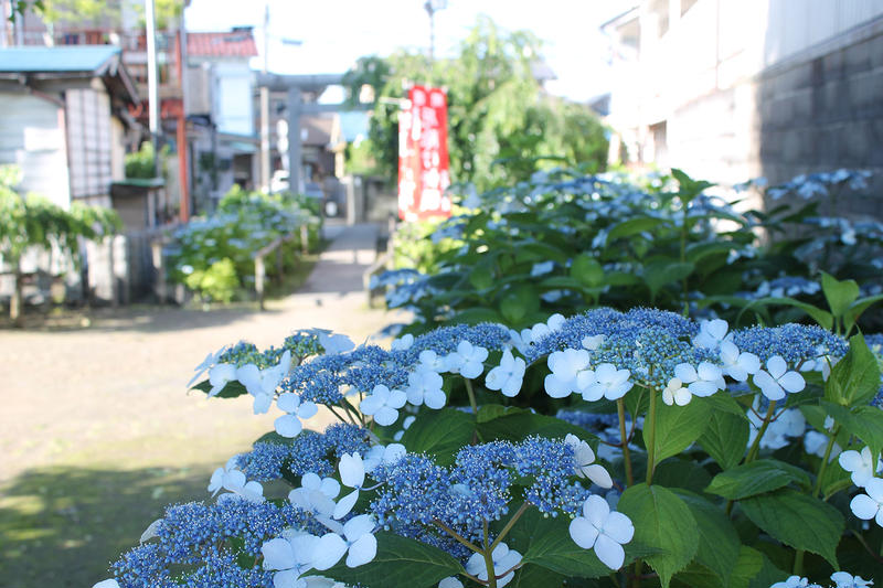 日吉八王子神社