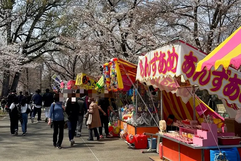 富士森公園　桜