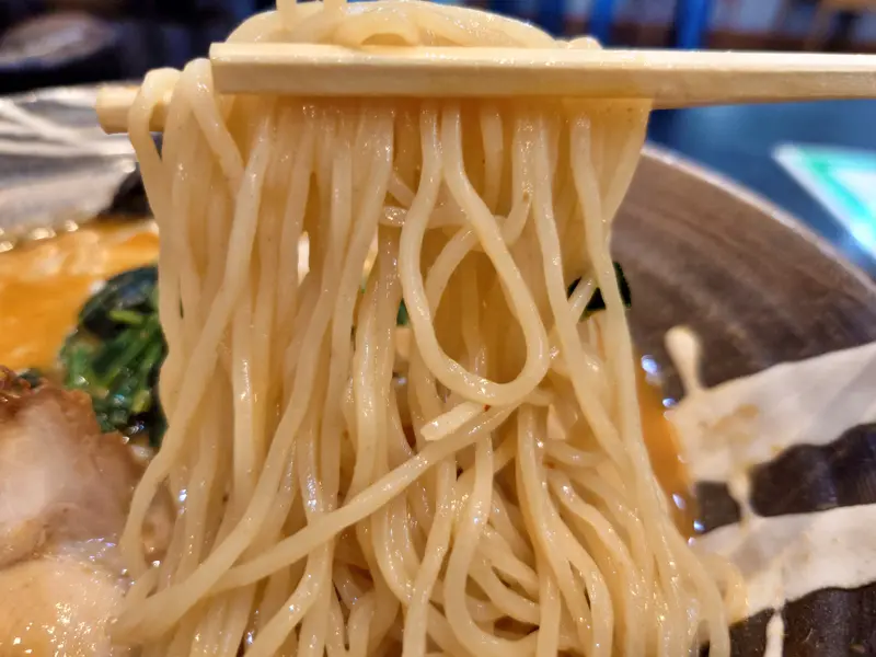 鶏白湯専門店つけ麺まるや_鶏白湯_味噌ラーメン_麺