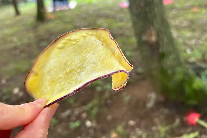 オンガタマルシェ_十二十芋のお芋チップス