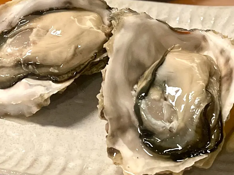 岩牡蠣 椿