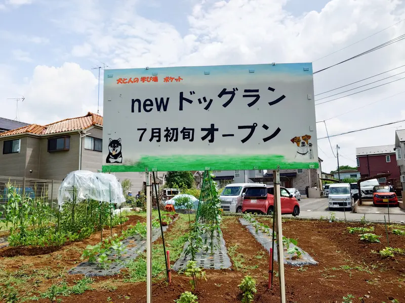 犬と人の学び場 ポケット_ドッグラン