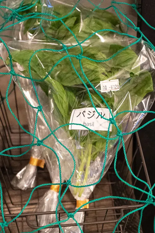 八王子スカイホテル_バジル