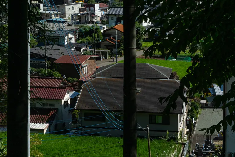 高尾山_奥高尾_東海自然歩道