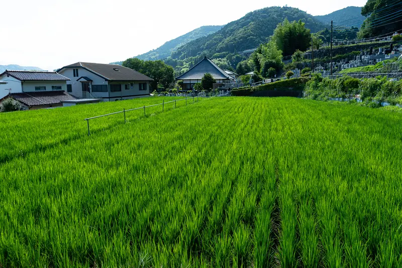 高尾山_奥高尾_東海自然道田園風景