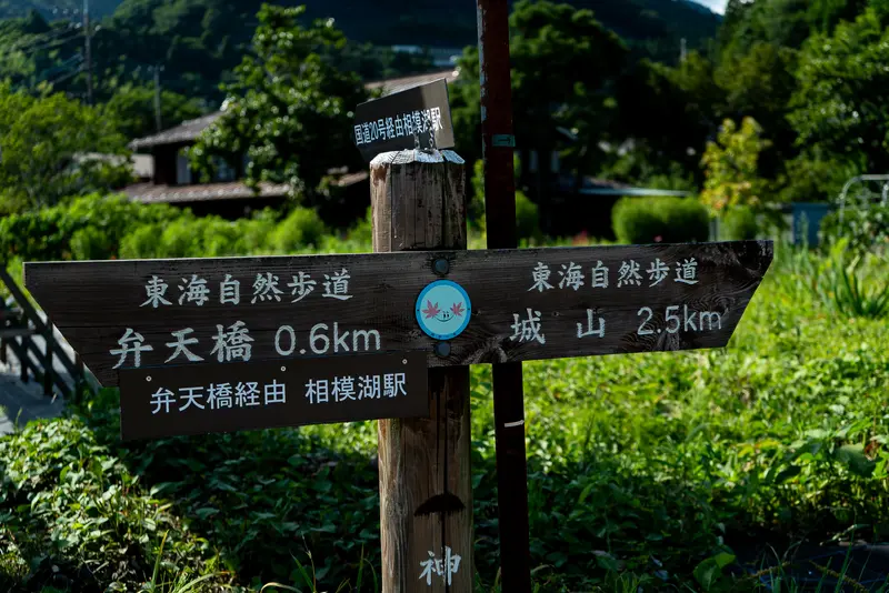 高尾山_奥高尾_東海自然歩道案内