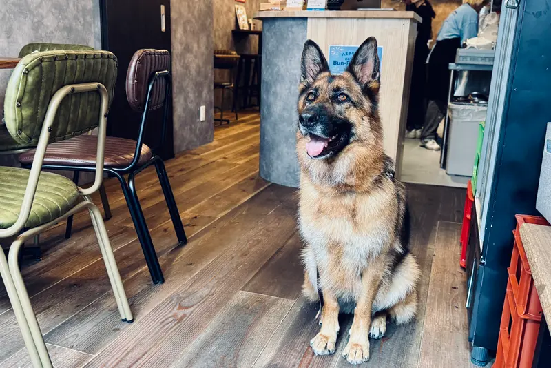 cafe&bar BunBunBun 犬同伴可