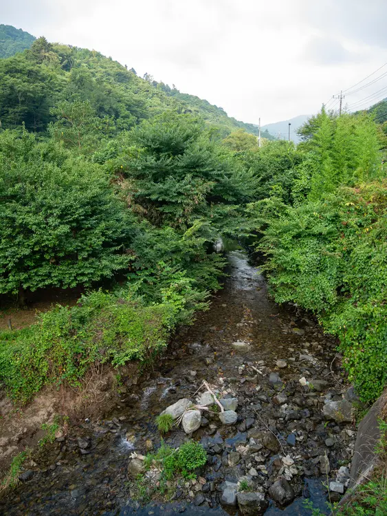 景信山_旧甲州街道_渓流