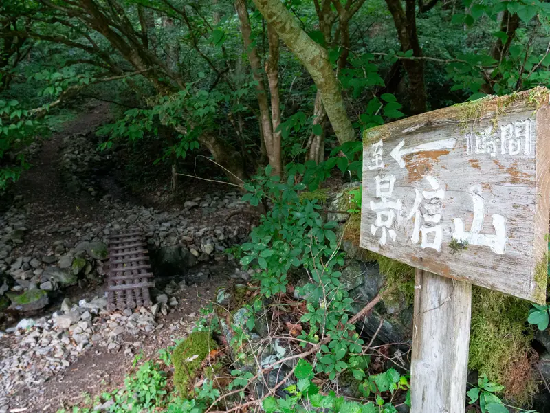 景信山_小下沢林道から登山道へ