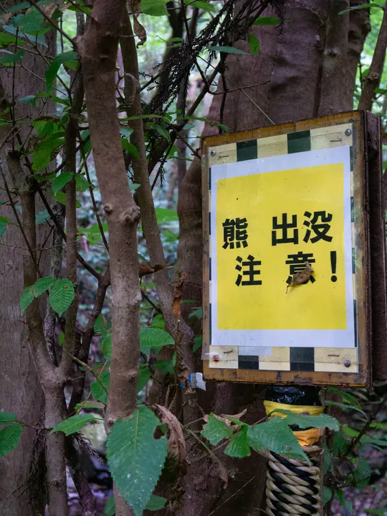 景信山_登山道_熊出没