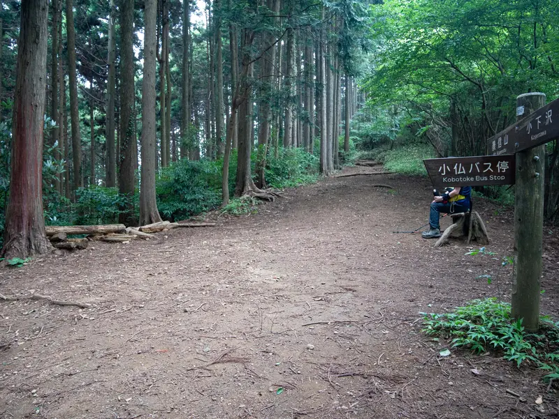 景信山_登山道_小仏コース分岐