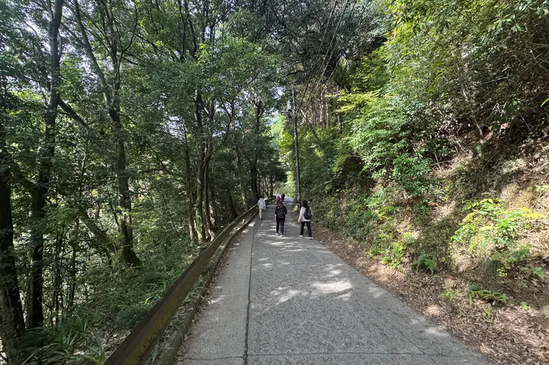 高尾山 1号路