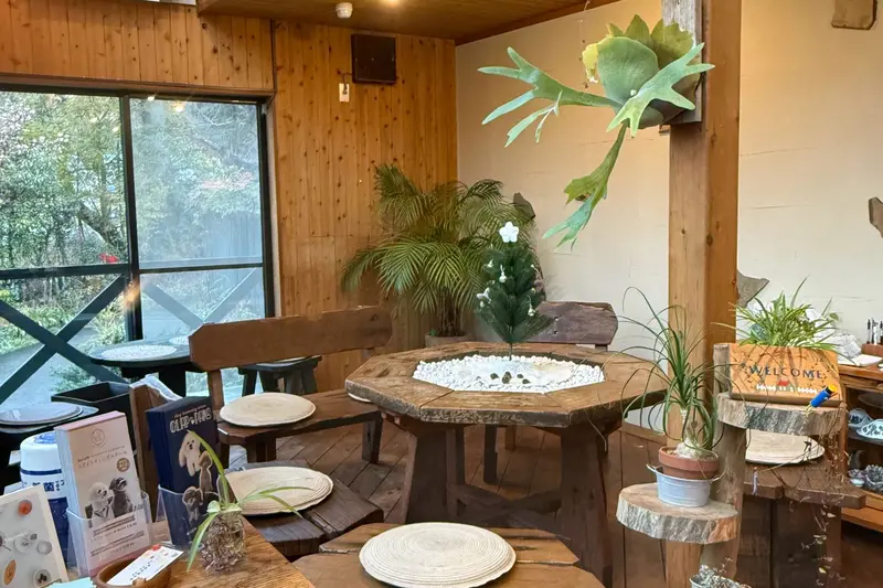 Vegeware Café_店内