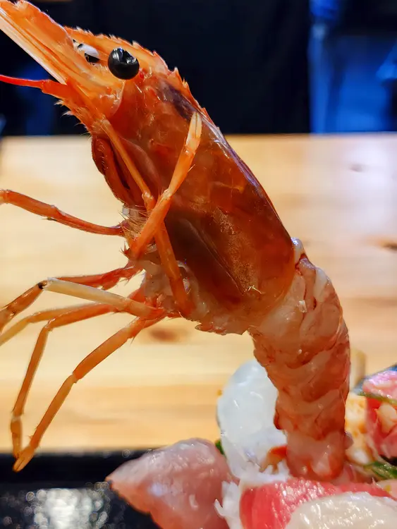 八王子水産だｮ！全員集合！_大将おまかせ丼