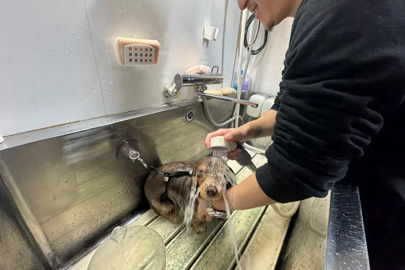 Lil’DOG リルドッグ　シャンプー