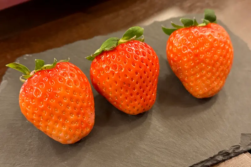 大山の天然水いちご試食用