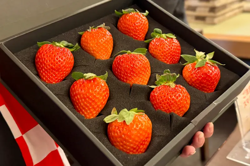 大山の天然水いちご贈答用