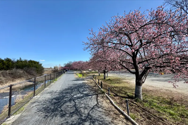 小田野中央公園