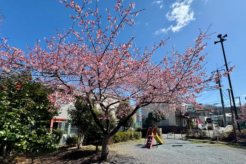 小田野中央公園