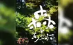 【3/22〜5/5】『峠の美術館春祭り』開催！今年のテーマは「森とあそぶ」