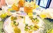 八王子の芸者さんとのお茶×アフタヌーンイベントレポ！『黒塀 茶フタヌーン』