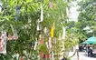 もうすぐ七夕の季節！子安神社で短冊に願いを書こう。
