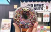 あの可愛いドーナツがもうすぐ見納め…『#NO NAME DONUTS』が“夢だったピザ屋”に全集中！
