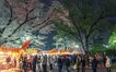 八王子まつりの裏側に迫る！露店を仕切る男の物語