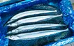 極上サンマ、八王子に！創業100年の老舗『魚政』が誇る秋のごちそう