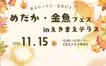 八王子の金魚すくい王を決める！『めだか・金魚フェス in えきまえテラス』開催【11/15】