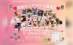 【12/7】つらい過去を生きてきた保護犬たちに、安心できる日常を。『保護犬リアリティ譲渡会』