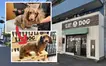 愛犬を預けるならここ。安心のトリミングサロン『Lil’DOG(リルドッグ)』