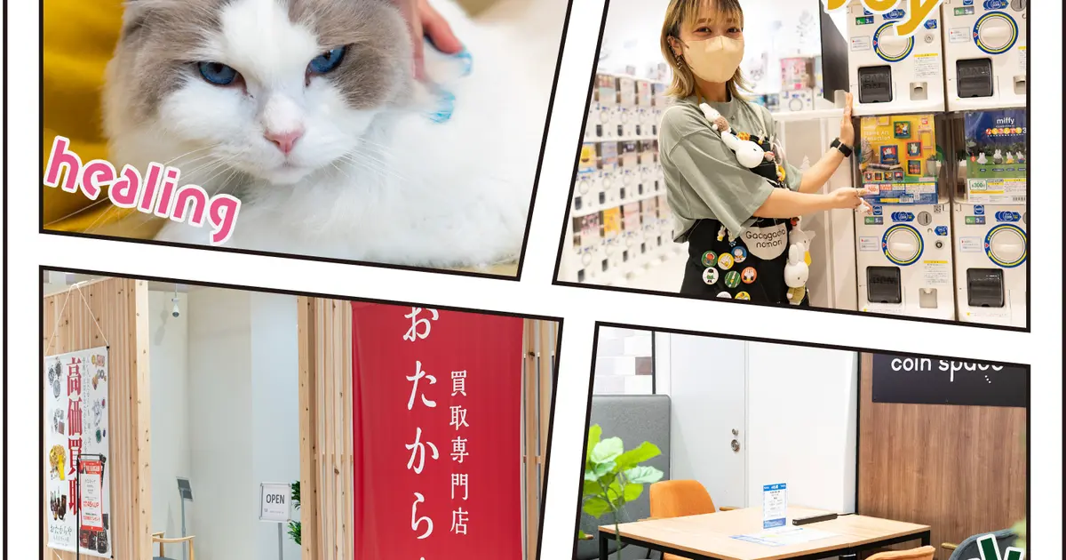 暑い日には涼と癒しを！『八王子オーパ』でこの夏も楽しく過ごそう