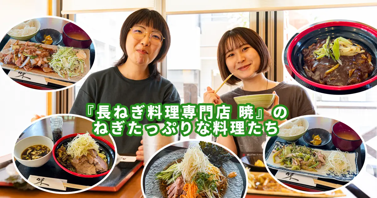 長ねぎ料理専門店 暁』のねぎたっぷりなランチメニューを紹介