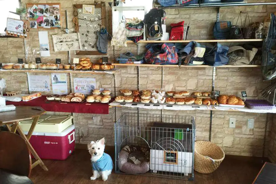 よみっこ】1ヵ月に1回のパン販売『ぷーパン』＠中野山王カフェモゼク