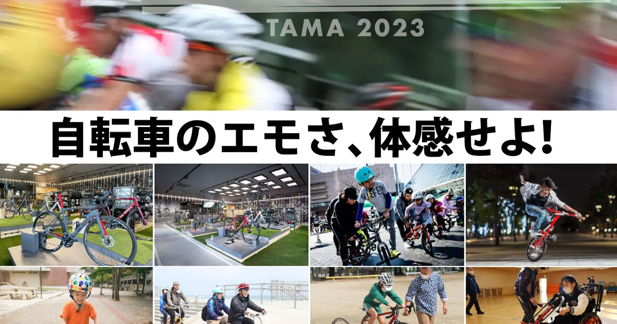 73d6039eb894f173a9503e48d5b371