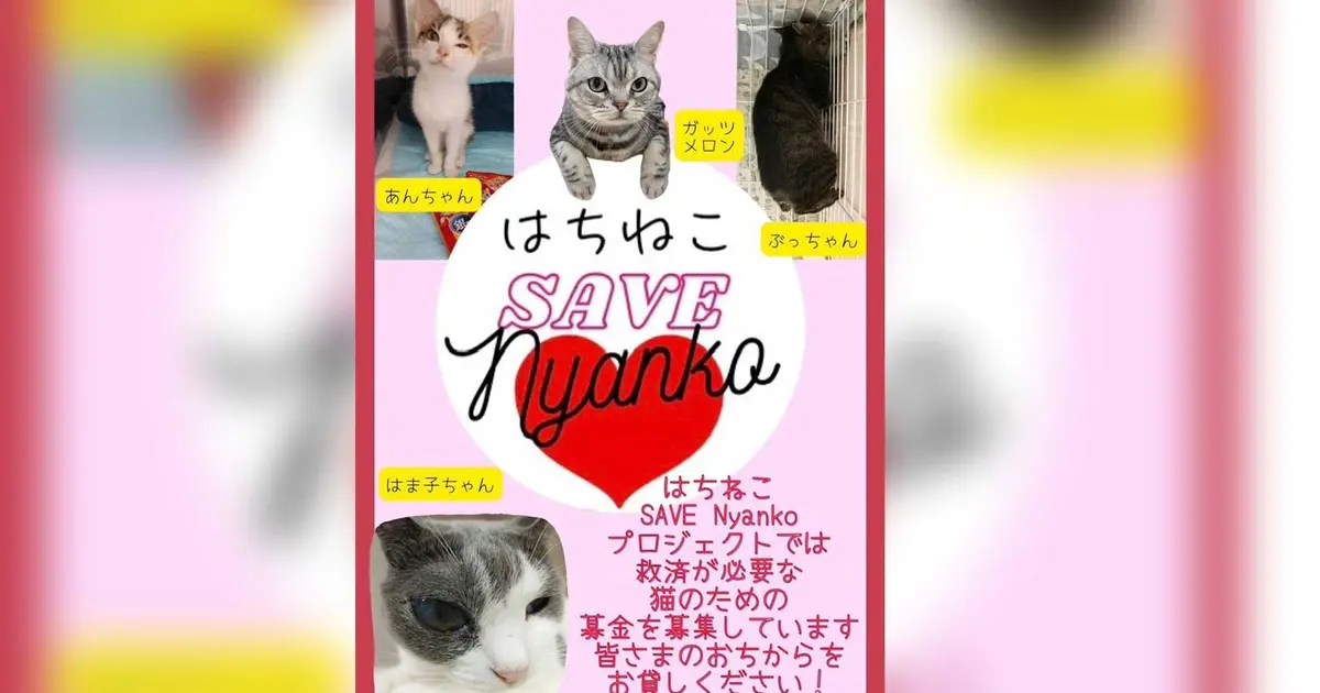 ae46b1f460ee46f789c27b264a6cb4