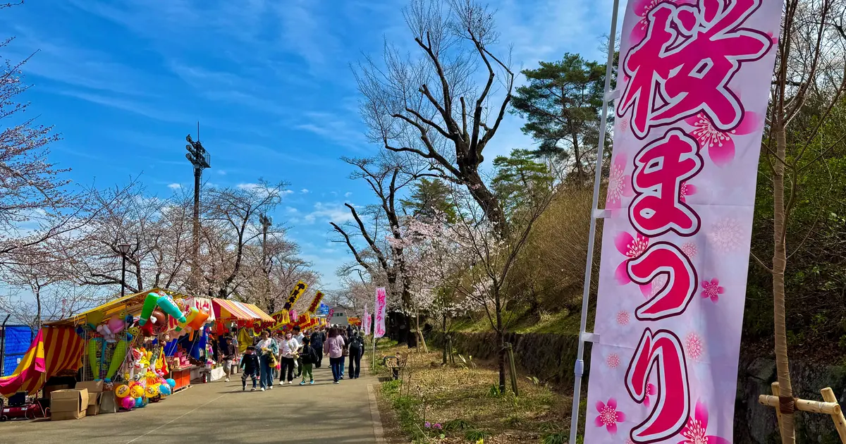 お花見 速報】2025年八王子お花見スポット3選！開花状況報告！ | 八王子ジャーニー