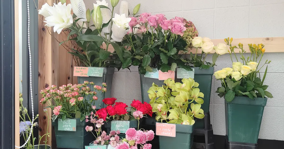 八王子駅北口1分！癒しの花屋『NOAN Happiness Flower』がオープン