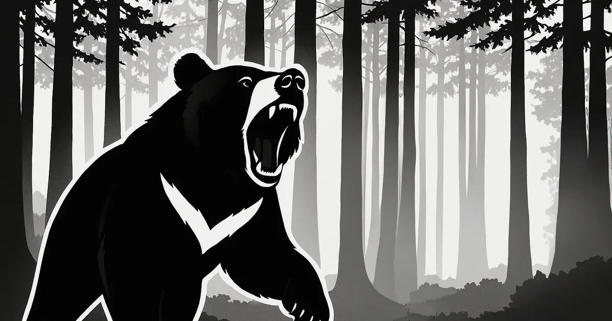 困った熊さま＊オーダー品になります 上出轆熊祭 on X: 