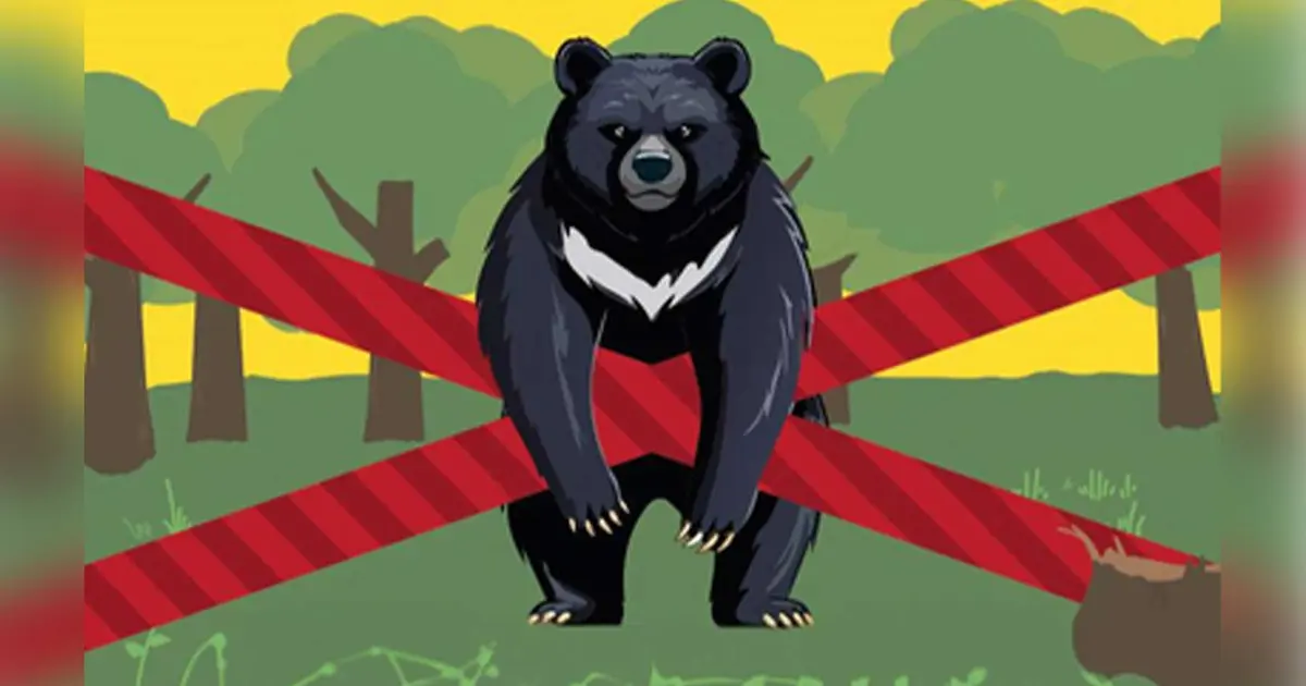 高尾以外でも油断大敵！クマとの遭遇を防ぐ“寄せない・会わない”ための