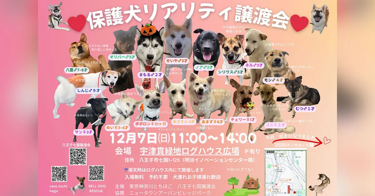 12/7】つらい過去を生きてきた保護犬たちに、安心できる日常を。『保護