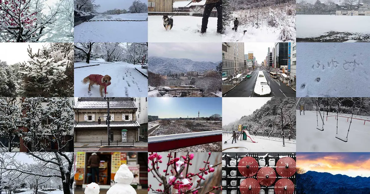 写真で巡る八王子の雪景色。フォトギャラリー2026 | 八王子ジャーニー