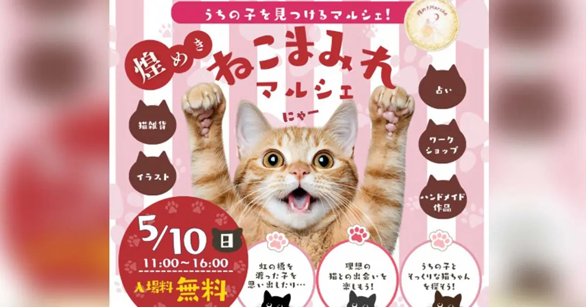 猫好き必見！八王子で「ねこまみれマルシェ」開催