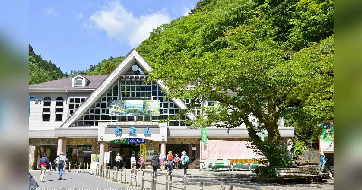 高尾山で春の風を感じる！若葉まつり2026の魅力