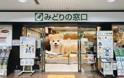 八王子駅に巨大秋田犬、現る…!?