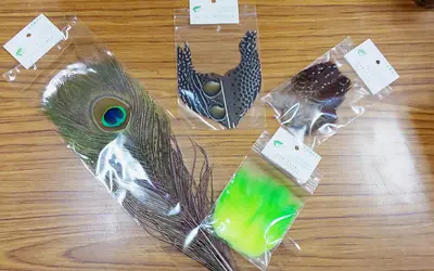 キャナル八王子