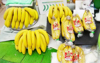 【よみっこ】バナナなら『横山町・恒川さん』 フルーツつねかわ