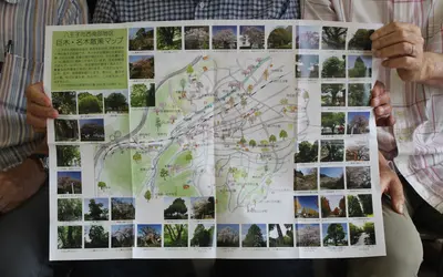 八王子市西南部地区『巨木・名木散策マップ』が誕生！木の物語をみてみよう。