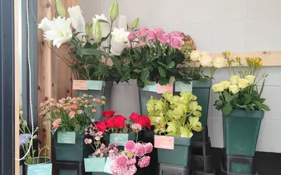 八王子駅北口1分！癒しの花屋『NOAN Happiness Flower』がオープン